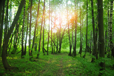 Similar image 10744846