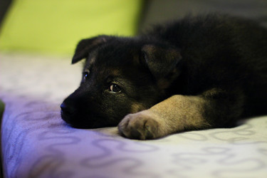 Similar image 10744850