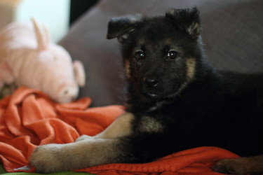 Similar image 10744854