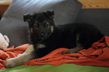 Similar image 10744857