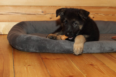 Similar image 10744864