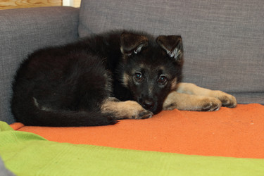 Similar image 10744866