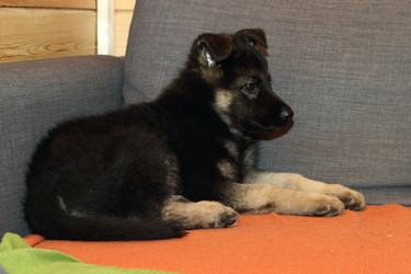 Similar image 10744869