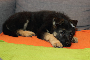 Similar image 10744872