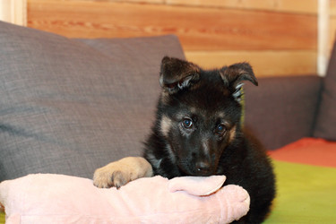 Similar image 10744876