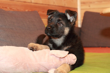 Similar image 10744877