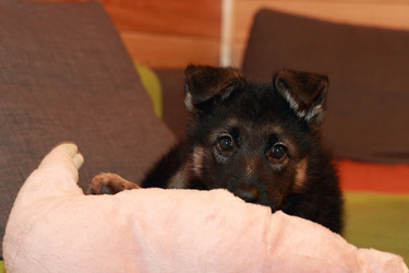 Similar image 10744879