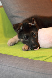 Similar image 10744880