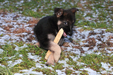 Similar image 10744883