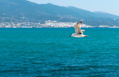 Similar image 10744905