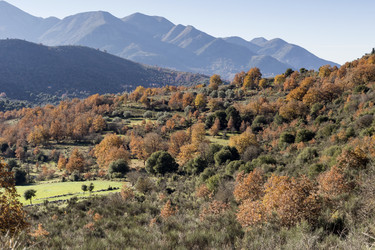 Similar image 10745253