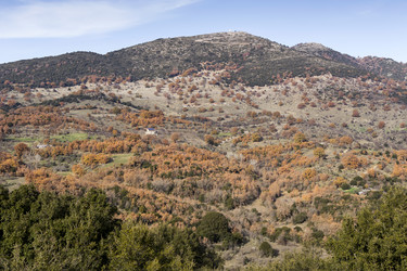 Similar image 10745254