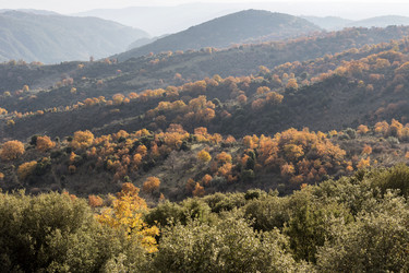 Similar image 10745255