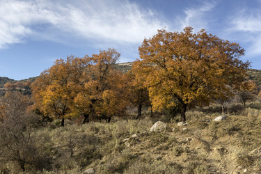 Similar image 10745258