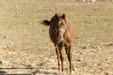 Similar image 10745262