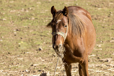 Similar image 10745263