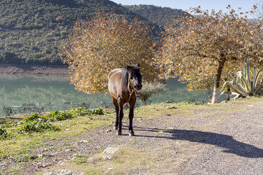 Similar image 10745265