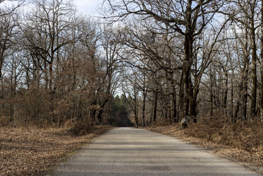 Similar image 10745267