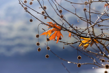 Similar image 10745269