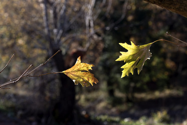 Similar image 10745271