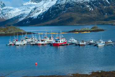 Similar image 10745329