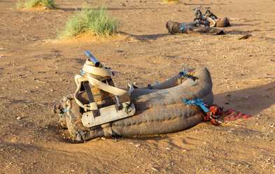 Similar image 10745571