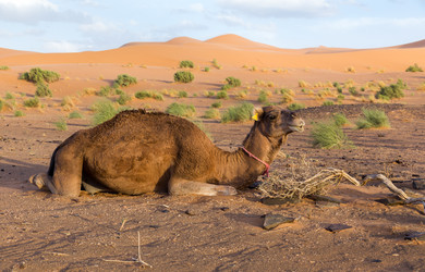 Similar image 10745575