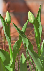 Similar image 10745605