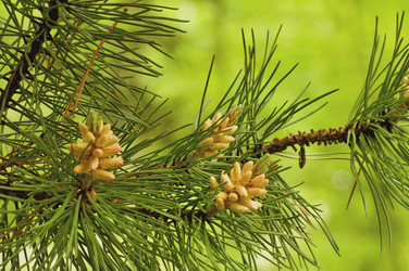 Similar image 10745608