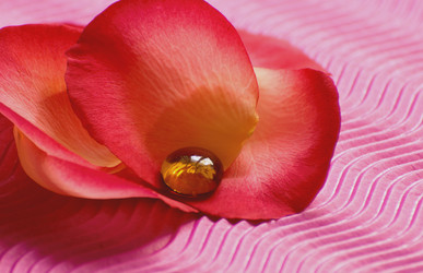 Similar image 10745612