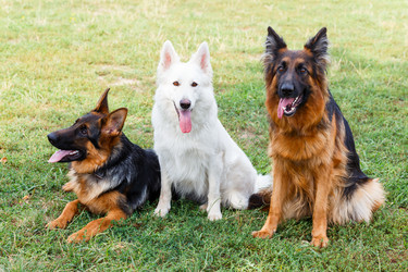 Similar image 10745750