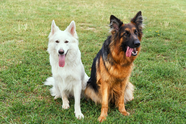 Similar image 10745751