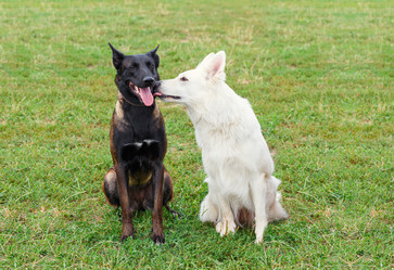 Similar image 10745754