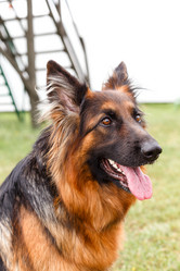 Similar image 10745755