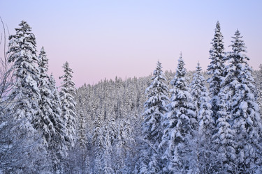 Similar image 10745817