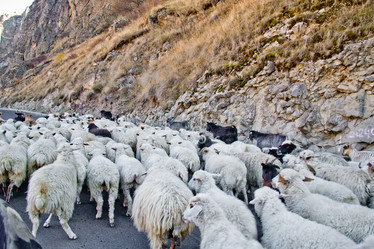 Similar image 10745843