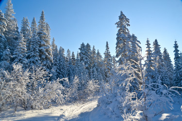 Similar image 10745845