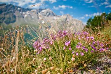 Similar image 10745850