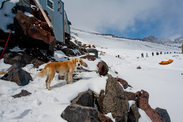 Similar image 10745851