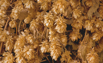 Similar image 10745860