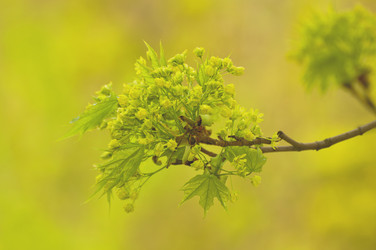 Similar image 10745864