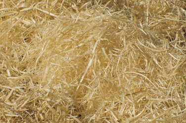 Similar image 10745865