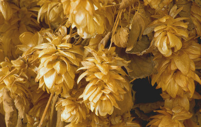 Similar image 10745866