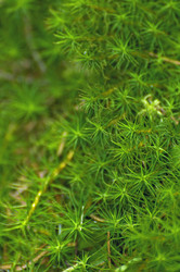 Similar image 10745867