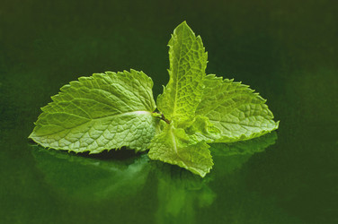 Similar image 10745874