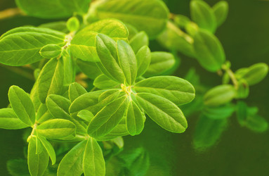 Similar image 10745875