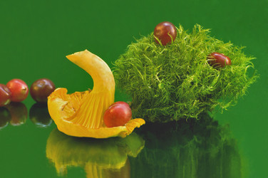 Similar image 10745876