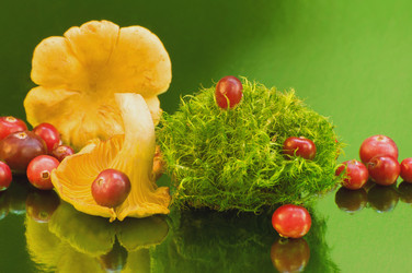 Similar image 10745877