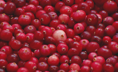 Similar image 10745879