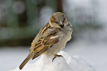 Similar image 10745885